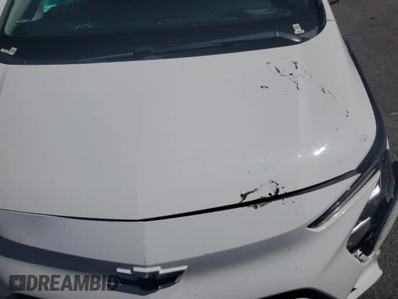 ✅ 2023 Chevrolet Bolt EV 1LT • VIN: 1G1FW6S07P4140549 • Lot: 58144214. Wystawiony na Copart z przebiegiem Nie podano. Bezpłatny archiwum sprzedaży aukcyjnych z USA i szczegółowy raport historii pojazdu na DreamBid. Zdjęcie 11.