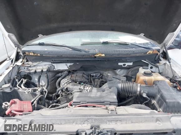 ✅ 2011 Ford F-150 XL • VIN: 1FTEX1CM3BFC07956 • Lot: 41897005. Wystawiony na IAAI z przebiegiem 277 429 mil. Bezpłatny archiwum sprzedaży aukcyjnych z USA i szczegółowy raport historii pojazdu na DreamBid. Zdjęcie 10.