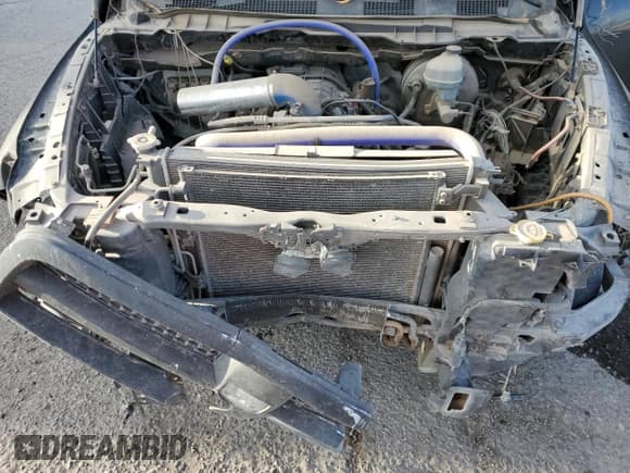 ✅ 2011 Ram 1500 Big Horn • VIN: 1D7RB1CTXBS547481 • Lot: 80662915. Wystawiony na Copart z przebiegiem Nie podano. Bezpłatny archiwum sprzedaży aukcyjnych z USA i szczegółowy raport historii pojazdu na DreamBid. Zdjęcie 11.