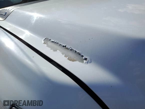 ✅ 2013 Chevrolet Silverado 2500HD • VIN: 1GC2KVCB0DZ305870 • Lot: 43870601. Wystawiony na IAAI z przebiegiem 159 958 mil. Bezpłatny archiwum sprzedaży aukcyjnych z USA i szczegółowy raport historii pojazdu na DreamBid. Zdjęcie 5.