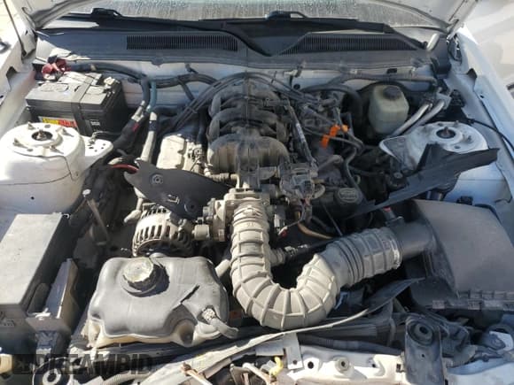 ✅ 2006 Ford Mustang Standard • VIN: 1ZVFT80N665140137 • Lot: 91023655. Listed on Copart with 165,034 mi. Free auction sales archive from the USA and detailed vehicle history report at DreamBid. Image 11.