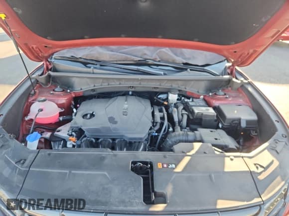 ✅ 2024 Hyundai Tucson SEL • VIN: 5NMJB3DE3RH415171 • Lot: 82661405. Wystawiony na Copart z przebiegiem 28 920 mil. Bezpłatny archiwum sprzedaży aukcyjnych z USA i szczegółowy raport historii pojazdu na DreamBid. Zdjęcie 11.