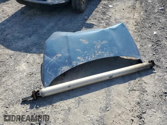 ✅ 2002 Dodge 1500 • VIN: 3D7HA18N32G203846 • Лот: 71291844. Опубликован ранее на Copart с пробегом 231 592 миль. Бесплатный доступ к архиву аукционных продаж из США и подробный отчёт об истории автомобиля на DreamBid. Изображение 12.