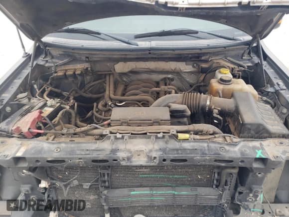 ✅ 2014 Ford F-150 XLT • VIN: 1FTFW1EF5EKD80413 • Lot: 50223575. Listed on Copart with 256,757 mi. Free auction sales archive from the USA and detailed vehicle history report at DreamBid. Image 11.