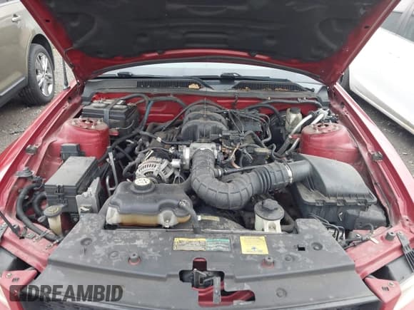 ✅ 2009 Ford Mustang • VIN: 1ZVHT84NX95119928 • Lot: 43472481. Listed on IAAI with 169,274 mi. Free auction sales archive from the USA and detailed vehicle history report at DreamBid. Image 10.