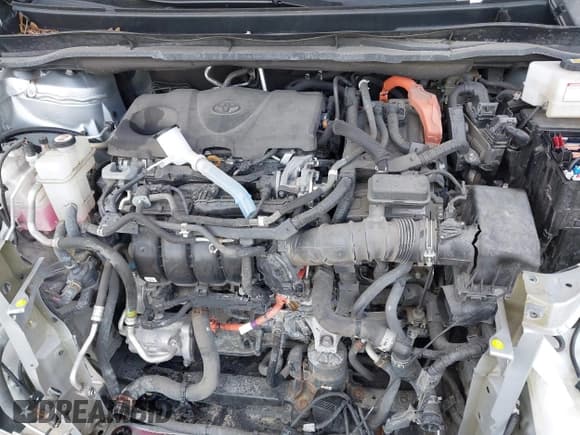 ✅ 2021 Toyota Sienna XLE • VIN: 5TDYSKFC5MS007913 • Lot: 43486040. Wystawiony na IAAI z przebiegiem 96 250 mil. Bezpłatny archiwum sprzedaży aukcyjnych z USA i szczegółowy raport historii pojazdu na DreamBid. Zdjęcie 10.