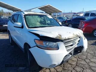 ✅ 2007 Hyundai Santa Fe SE • VIN: 5NMSH13E57H003923 • Lot: 43447839. Wystawiony na IAAI z przebiegiem 218 356 mil. Bezpłatny archiwum sprzedaży aukcyjnych z USA i szczegółowy raport historii pojazdu na DreamBid. Zdjęcie 1.