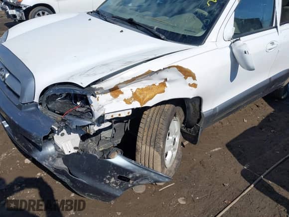 2005 Hyundai Santa Fe GLS with VIN KM8SC73D45U979458, listed as a IAAI auction lot 41667932 with 221,882 mi miles and . Bid and sale history available at DreamBid. Image 6.