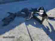 2024 Hyundai Kona SEL with VIN KM8HB3AB3RU171678, listed as a Copart auction lot 41693785 with 10,592 mi miles and Non repairable. Bid and sale history available at DreamBid. Image 13.