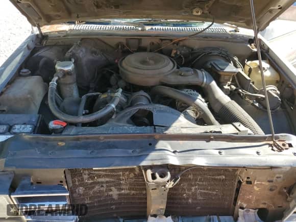 1989 Chevrolet S-10 X96 с VIN 1GCCS14Z6K2231434, выставлен на аукционе Copart как лот 76987234 с пробегом 378 217 миль миль и Списание • Salvage title. История ставок и продаж доступна на DreamBid. Изображение 11.