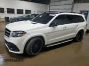 ✅ 2017 Mercedes-Benz GLS 63 AMG • VIN: 4JGDF7FE5HA774029 • Lot: 54489415. Listed on Copart with Not provided. Free auction sales archive from the USA and detailed vehicle history report at DreamBid. Image 1.