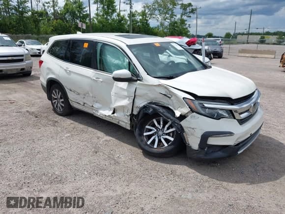✅ 2019 Honda Pilot EX-L • VIN: 5FNYF6H49KB067552 • Lot: 42718497. Listed on IAAI with 75,483 mi. Free auction sales archive from the USA and detailed vehicle history report at DreamBid. Image 1.