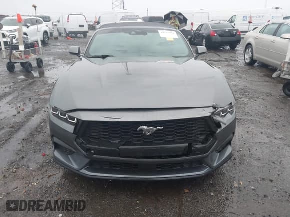 ✅ 2024 Ford Mustang EcoBoost Premium • VIN: 1FAGP8UH2R5110708 • Lot: 43757999. Wystawiony na IAAI z przebiegiem 3 832 mil. Bezpłatny archiwum sprzedaży aukcyjnych z USA i szczegółowy raport historii pojazdu na DreamBid. Zdjęcie 12.