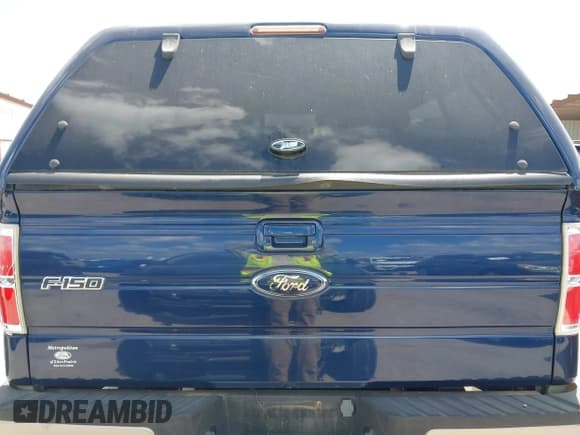 ✅ 2009 Ford F-150 XL • VIN: 1FTPW14V19FA44706 • Lot: 42530002. Listed on IAAI with 208,419 mi. Free auction sales archive from the USA and detailed vehicle history report at DreamBid. Image 15.