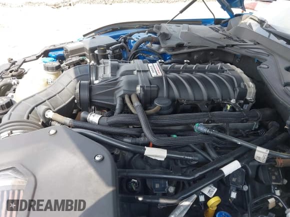 ✅ 2021 Ford Mustang GT • VIN: 1FA6P8CF1M5135281 • Lot: 42928463. Listed on IAAI with 31,390 mi. Free auction sales archive from the USA and detailed vehicle history report at DreamBid. Image 17.