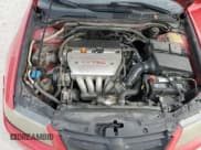 ✅ 2004 Acura TSX • VIN: JH4CL96894C005139 • Lot: 71977044. Listed on Copart with 177,742 mi. Free auction sales archive from the USA and detailed vehicle history report at DreamBid. Image 11.