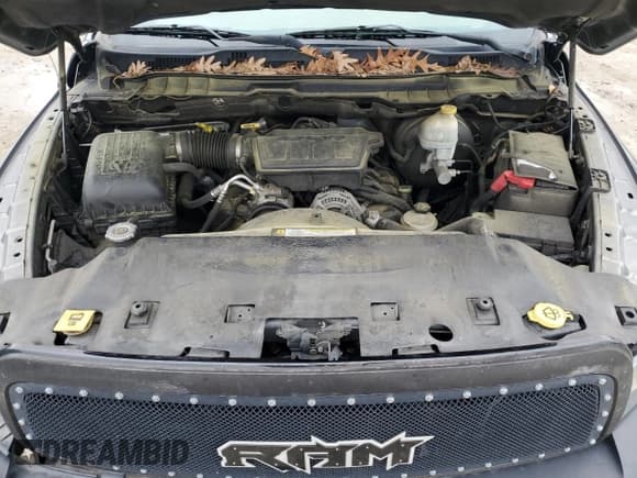 ✅ 2011 Ram 1500 SLT • VIN: 1D7RB1GP3BS541809 • Lot: 52568765. Listed on Copart with 146,945 mi. Free auction sales archive from the USA and detailed vehicle history report at DreamBid. Image 11.