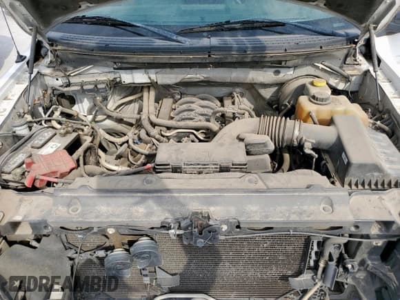 ✅ 2014 Ford F-150 XL • VIN: 1FTNF1CFXEKE42323 • Lot: 71273485. Listed on Copart with 256,873 mi. Free auction sales archive from the USA and detailed vehicle history report at DreamBid. Image 11.