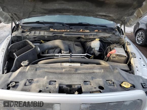 ✅ 2010 Dodge 1500 Laramie • VIN: 1D7RV1GT0AS174032 • Lot: 88287785. Wystawiony na Copart z przebiegiem 315 160 mil. Bezpłatny archiwum sprzedaży aukcyjnych z USA i szczegółowy raport historii pojazdu na DreamBid. Zdjęcie 11.