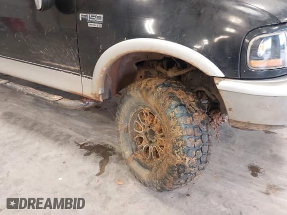 ✅ 1998 Ford F-150 XL • VIN: 1FTRX08L6WKA88552 • Lot: 41549860. Listed on IAAI with 141,247 mi. Free auction sales archive from the USA and detailed vehicle history report at DreamBid. Image 13.