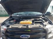 ✅ 2015 Ford F-150 XL • VIN: 1FTEX1CP2FKE24373 • Лот: 42806594. Опубликован ранее на IAAI с пробегом 132 105 миль. Бесплатный доступ к архиву аукционных продаж из США и подробный отчёт об истории автомобиля на DreamBid. Изображение 10.