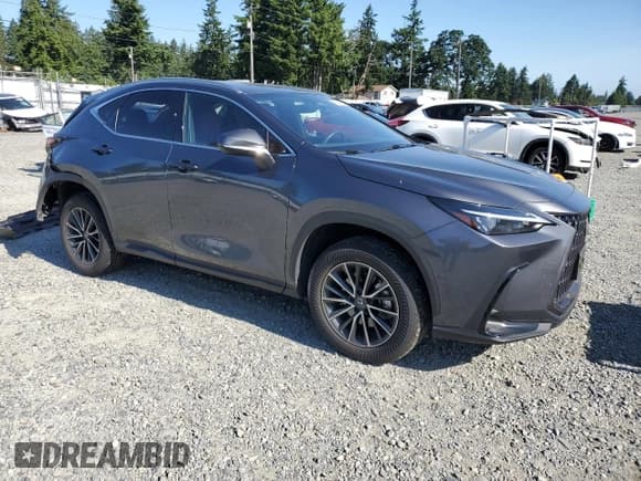 ✅ 2024 Lexus NX 350 • VIN: JTJAGCEZ7R2015151 • Лот: 59238605. Опубликован ранее на Copart с пробегом 10 307 миль. Бесплатный доступ к архиву аукционных продаж из США и подробный отчёт об истории автомобиля на DreamBid. Изображение 4.