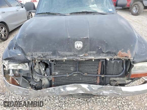 ✅ 1999 Dodge Dakota SLT • VIN: 1B7GL22X5XS298216 • Lot: 63887324. Wystawiony na Copart z przebiegiem Nie podano. Bezpłatny archiwum sprzedaży aukcyjnych z USA i szczegółowy raport historii pojazdu na DreamBid. Zdjęcie 11.