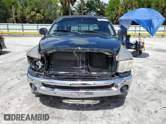 2005 Dodge 1500 SLT z VIN 1D7HA16D25J503603, wystawiony jako Copart lot #84812175 z przebiegiem 242 224 mil mil oraz Szkoda całkowita • Salvage title. Historia ofert i sprzedaży dostępna na DreamBid. Obrazek 5.