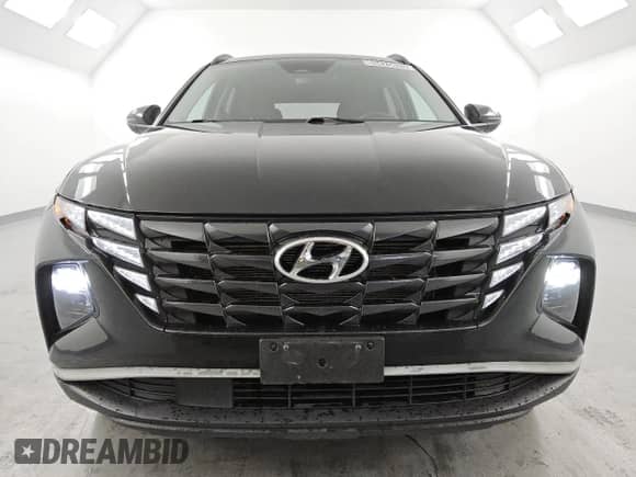 2023 Hyundai Tucson SEL с VIN 5NMJBCAEXPH190006, выставлен на аукционе Copart как лот 85425625 с пробегом 146 593 миль миль и Чистый • Clean title. История ставок и продаж доступна на DreamBid. Изображение 5.