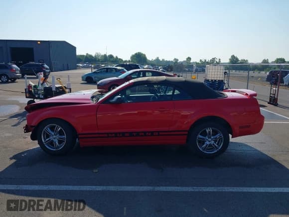 ✅ 2005 Ford Mustang Deluxe • VIN: 1ZVFT84N555231280 • Lot: 42603912. Wystawiony na IAAI z przebiegiem 236 414 mil. Bezpłatny archiwum sprzedaży aukcyjnych z USA i szczegółowy raport historii pojazdu na DreamBid. Zdjęcie 15.