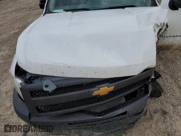 ✅ 2013 Chevrolet Silverado 1500 Work Truck • VIN: 1GCNCPE04DZ395686 • Lot: 62278625. Wystawiony na Copart z przebiegiem 157 314 mil. Bezpłatny archiwum sprzedaży aukcyjnych z USA i szczegółowy raport historii pojazdu na DreamBid. Zdjęcie 11.