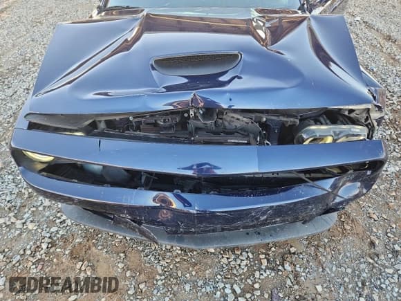 ✅ 2016 Dodge Challenger SRT 392 • VIN: 2C3CDZDJXGH152578 • Lot: 87305345. Wystawiony na Copart z przebiegiem 44 368 mil. Bezpłatny archiwum sprzedaży aukcyjnych z USA i szczegółowy raport historii pojazdu na DreamBid. Zdjęcie 11.