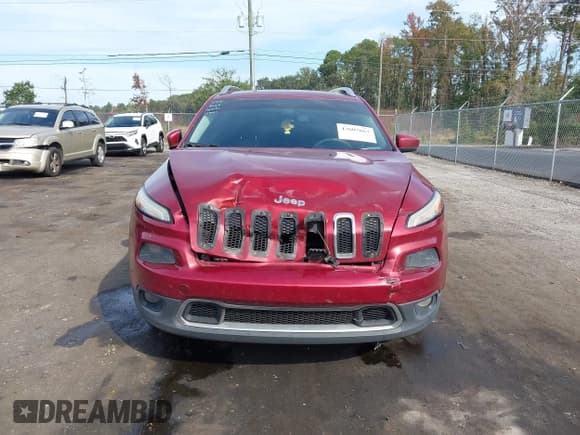✅ 2014 Jeep Cherokee Limited • VIN: 1C4PJLDS2EW238039 • Lot: 43607667. Wystawiony na IAAI z przebiegiem 224 603 mil. Bezpłatny archiwum sprzedaży aukcyjnych z USA i szczegółowy raport historii pojazdu na DreamBid. Zdjęcie 12.