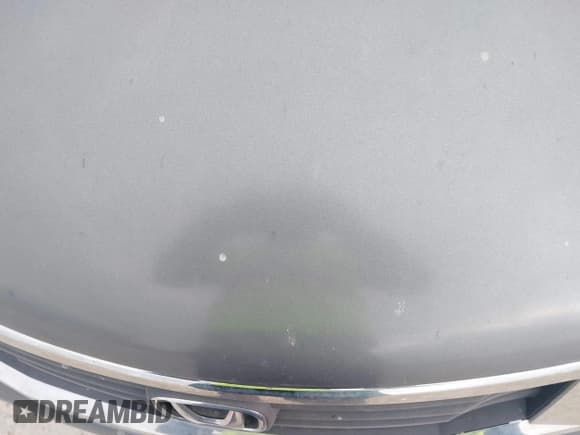 ✅ 2009 Honda Accord LX-P • VIN: 1HGCP26489A187849 • Lot: 43781190. Listed on IAAI with Not provided. Free auction sales archive from the USA and detailed vehicle history report at DreamBid. Image 13.