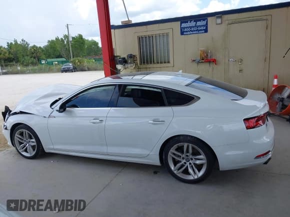 ✅ 2019 Audi A5 Sportback Premium • VIN: WAUANCF51KA057313 • Lot: 42921705. Wystawiony na IAAI z przebiegiem 67 086 mil. Bezpłatny archiwum sprzedaży aukcyjnych z USA i szczegółowy raport historii pojazdu na DreamBid. Zdjęcie 15.