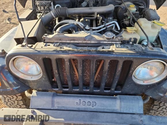 ✅ 2000 Jeep Wrangler Sport • VIN: 1J4FA49S9YP738234 • Lot: 91114555. Listed on Copart with 245,066 mi. Free auction sales archive from the USA and detailed vehicle history report at DreamBid. Image 11.