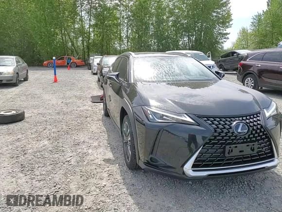 ✅ 2020 Lexus UX 250h • VIN: JTHP9JBH6L2032942 • Lot: 56675505. Wystawiony na Copart z przebiegiem 22 295 mil. Bezpłatny archiwum sprzedaży aukcyjnych z USA i szczegółowy raport historii pojazdu na DreamBid. Zdjęcie 14.