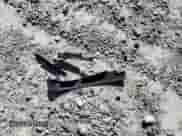 2013 Chevrolet Corvette Z16 Grand Sport 3LT с VIN 1G1YW3DW1D5109831, выставлен на аукционе Copart как лот 48959535 с пробегом 40 281 миль миль и Списание • Salvage title. История ставок и продаж доступна на DreamBid. Изображение 12.