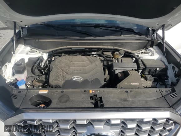 ✅ 2022 Hyundai Palisade SEL • VIN: KM8R3DHE8NU361011 • Lot: 89685715. Listed on Copart with 33,354 mi. Free auction sales archive from the USA and detailed vehicle history report at DreamBid. Image 12.