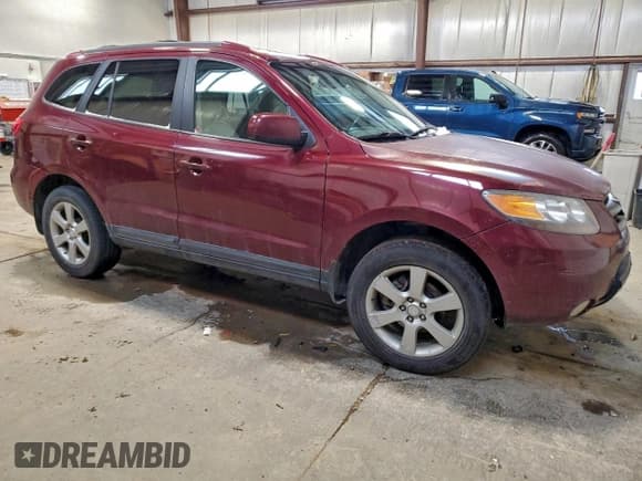 ✅ 2007 Hyundai Santa Fe GL 5Pass • VIN: 5NMSG13E07H102135 • Lot: 95942925. Listed on Copart with 258,683 mi. Free auction sales archive from the USA and detailed vehicle history report at DreamBid. Image 4.