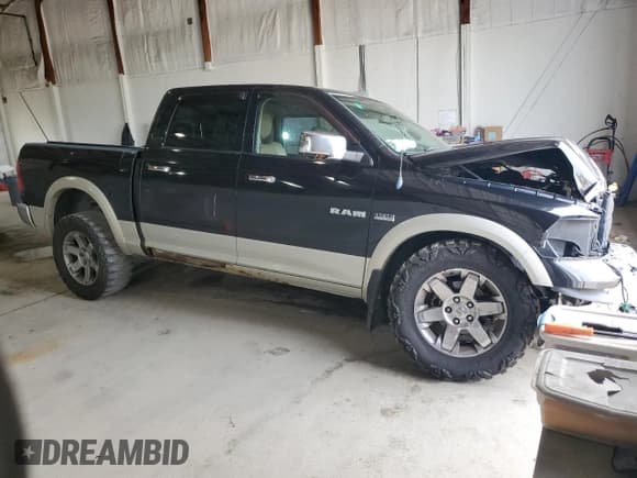 ✅ 2009 Dodge 1500 Laramie • VIN: 1D3HV13T49J511869 • Lot: 55224955. Wystawiony na Copart z przebiegiem 279 220 mil. Bezpłatny archiwum sprzedaży aukcyjnych z USA i szczegółowy raport historii pojazdu na DreamBid. Zdjęcie 4.