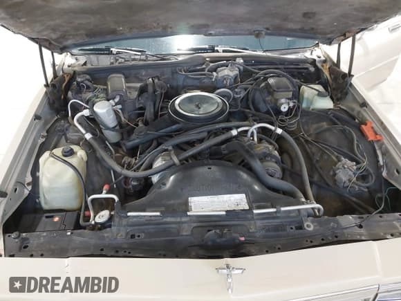 ✅ 1982 Chevrolet Caprice • VIN: 1G1AN69J9CX100512 • Лот: 43874871. Опубликован ранее на IAAI с пробегом 49 045 миль. Бесплатный доступ к архиву аукционных продаж из США и подробный отчёт об истории автомобиля на DreamBid. Изображение 10.