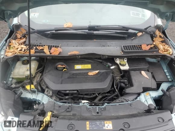 ✅ 2013 Ford Escape SE • VIN: 1FMCU9GX4DUD06461 • Lot: 91730445. Listed on Copart with 76,613 mi. Free auction sales archive from the USA and detailed vehicle history report at DreamBid. Image 12.