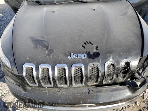 ✅ 2016 Jeep Cherokee Limited • VIN: 1C4PJMDS0GW373206 • Lot: 92583925. Wystawiony na Copart z przebiegiem 135 282 mil. Bezpłatny archiwum sprzedaży aukcyjnych z USA i szczegółowy raport historii pojazdu na DreamBid. Zdjęcie 11.