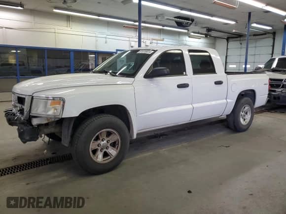 2010 Dodge Dakota ST with VIN 1D7CW2GK6AS125806, listed as a Copart auction lot 81616924 with 223,513 mi miles and Salvage title. Bid and sale history available at DreamBid. Image 1.