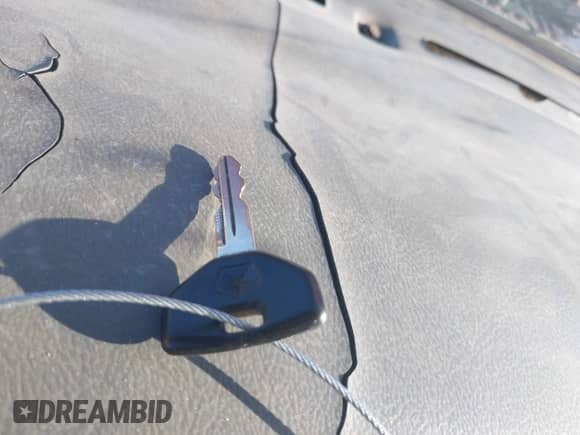 1995 Dodge Dakota z VIN 1B7GG23YXSS328850, wystawiony jako IAAI lot #42984533 z przebiegiem 166 115 mil mil oraz . Historia ofert i sprzedaży dostępna na DreamBid. Obrazek 11.