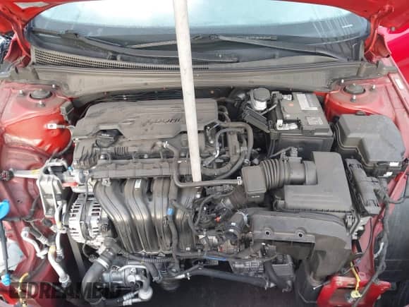 2022 Hyundai Elantra Limited с VIN KMHLP4AG0NU255948, выставлен на аукционе IAAI как лот 43368884 с пробегом 70 024 миль миль и . История ставок и продаж доступна на DreamBid. Изображение 10.