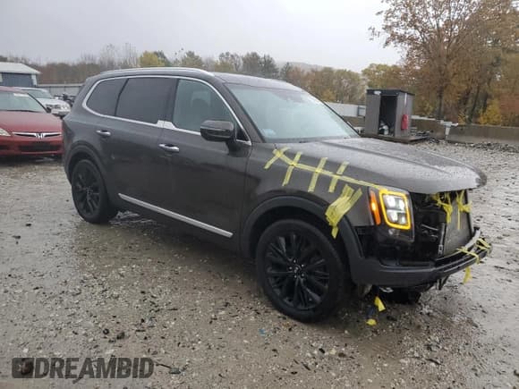 ✅ 2020 Kia Telluride SX • VIN: 5XYP5DHC3LG062755 • Лот: 85835205. Опубликован ранее на Copart с пробегом 31 902 миль. Бесплатный доступ к архиву аукционных продаж из США и подробный отчёт об истории автомобиля на DreamBid. Изображение 4.