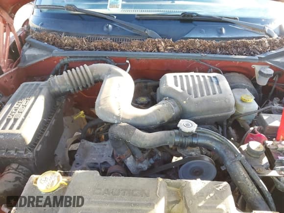 ✅ 2001 Dodge Dakota • VIN: 1B7FL26P91S173068 • Lot: 43473639. Wystawiony na IAAI z przebiegiem 71 129 mil. Bezpłatny archiwum sprzedaży aukcyjnych z USA i szczegółowy raport historii pojazdu na DreamBid. Zdjęcie 10.