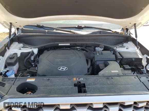 ✅ 2021 Hyundai Palisade SEL • VIN: KM8R4DHE8MU253130 • Лот: 71439594. Опубликован ранее на Copart с пробегом 54 410 миль. Бесплатный доступ к архиву аукционных продаж из США и подробный отчёт об истории автомобиля на DreamBid. Изображение 12.